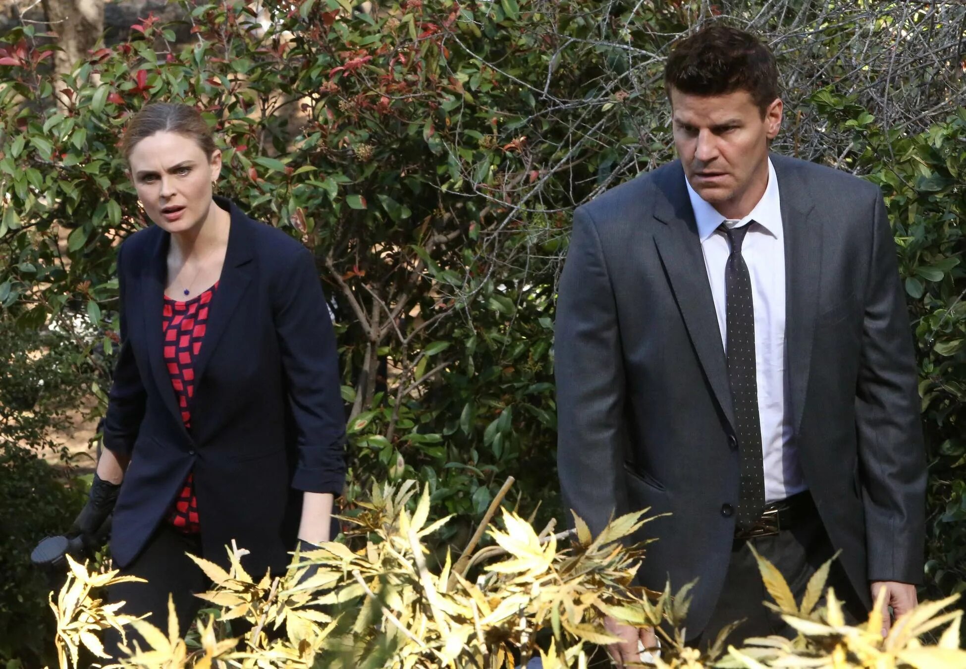 Bones david. David Boreanaz Bones.