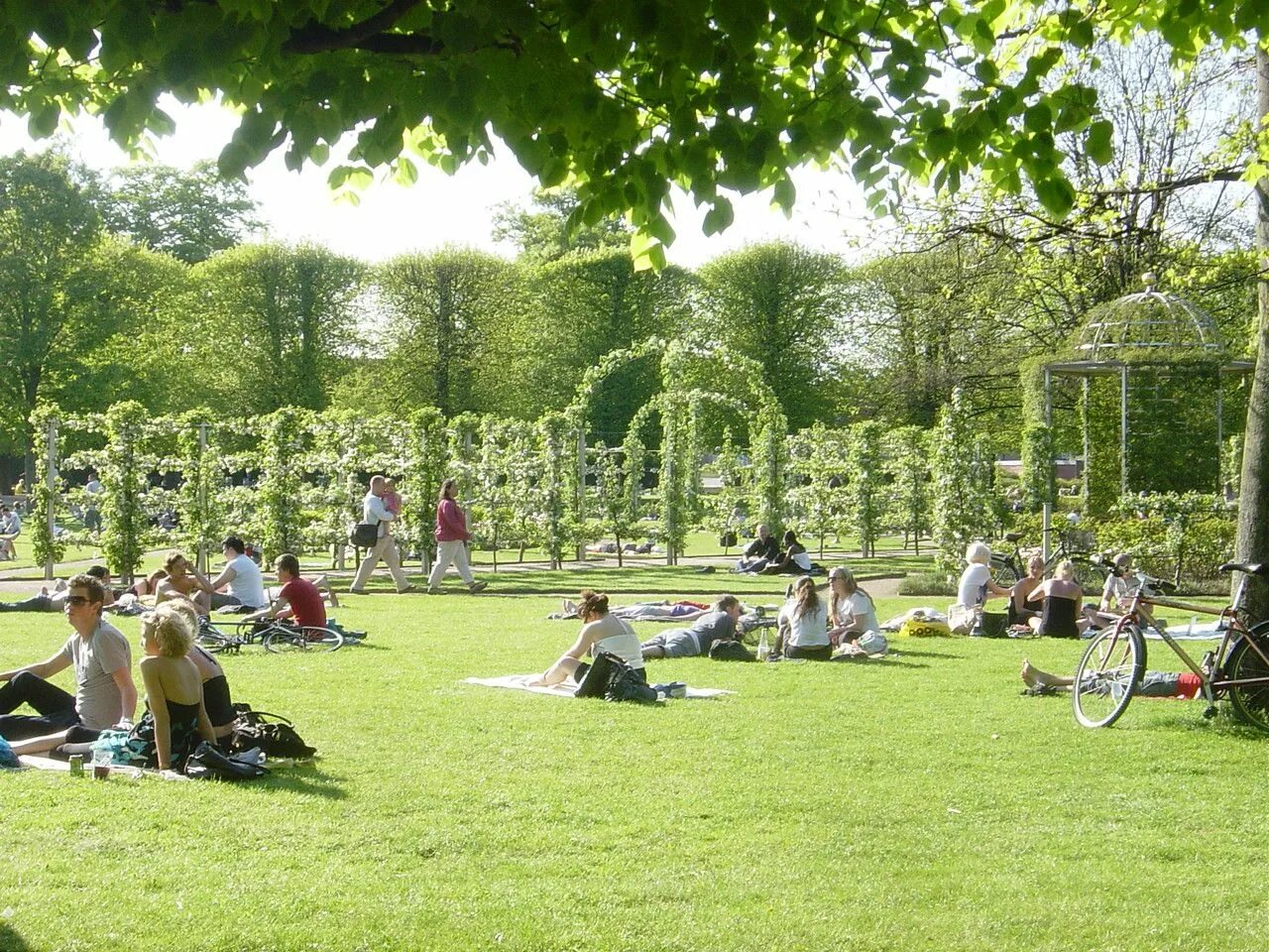 Мир сада интернет. Королевский сад (Копенгаген). Сады и парки Дании сад Копенгагена.
