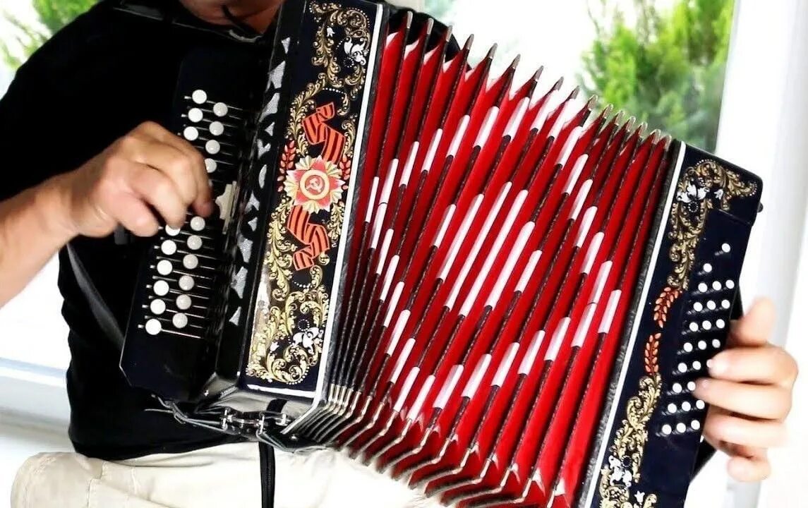 Пусть играет на гармошке. Василий иванович лихтин баянист. Народное творчество гармонь. Гармошка в руках. Василий иванович лихтин баянист.