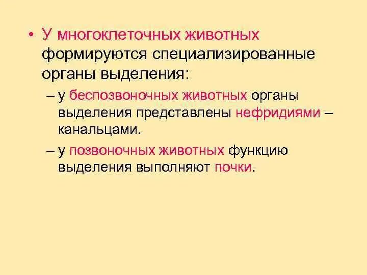 Выделительную функцию выполняют ответ. Органы выделения у многоклеточных. Органы выделения у животных. Выделительная система беспозвоночных животных. Выделение у беспозвоночных животных.