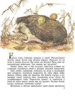 Акимушкина жил был ежик