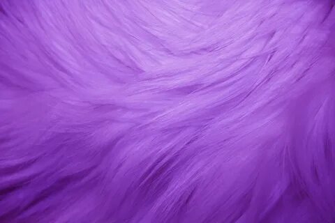 Purple Fur Purple Fur Texture - Free High Resolution Photo - Dimensions: 38...