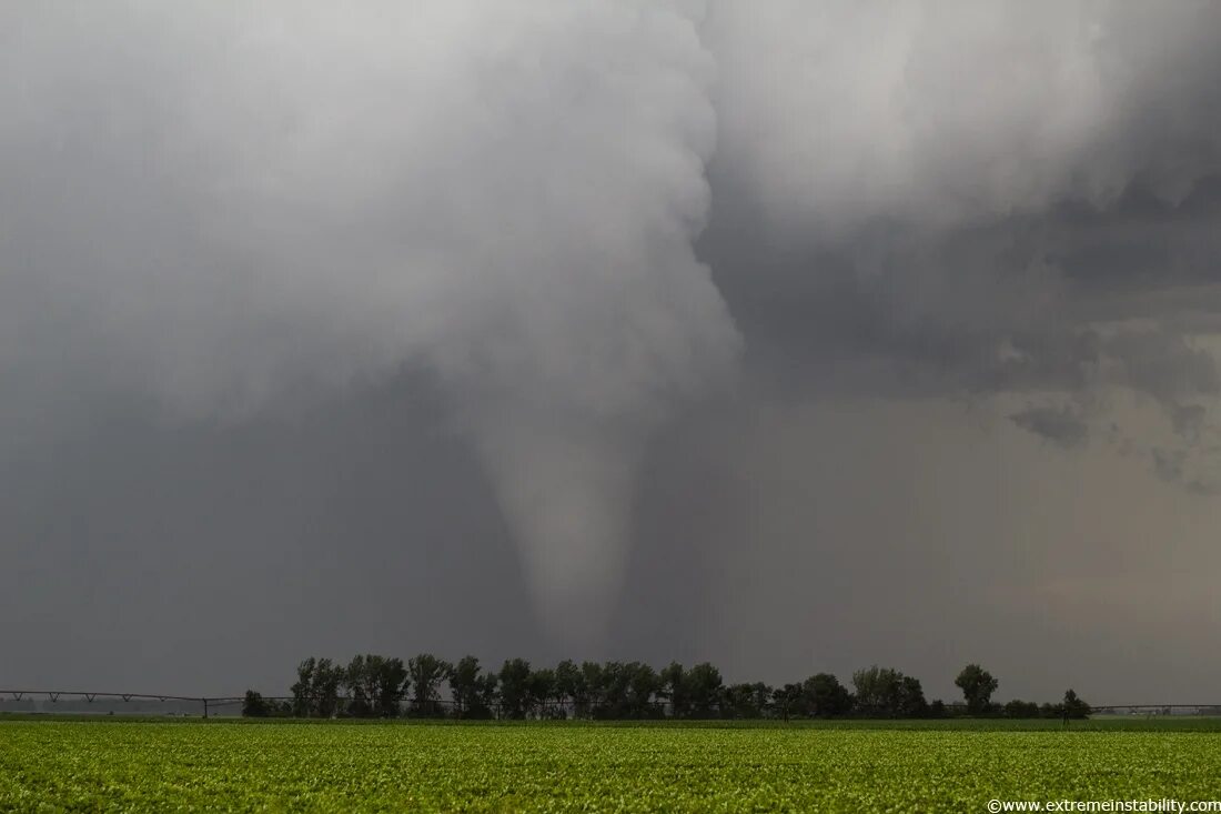 Гербициды от сорняков торнадо. Торнадо от сорняков 20л. Торнадо. Торнадо 500 гербицид охлаждение для двигателя. Торнадо 500 гербицид.