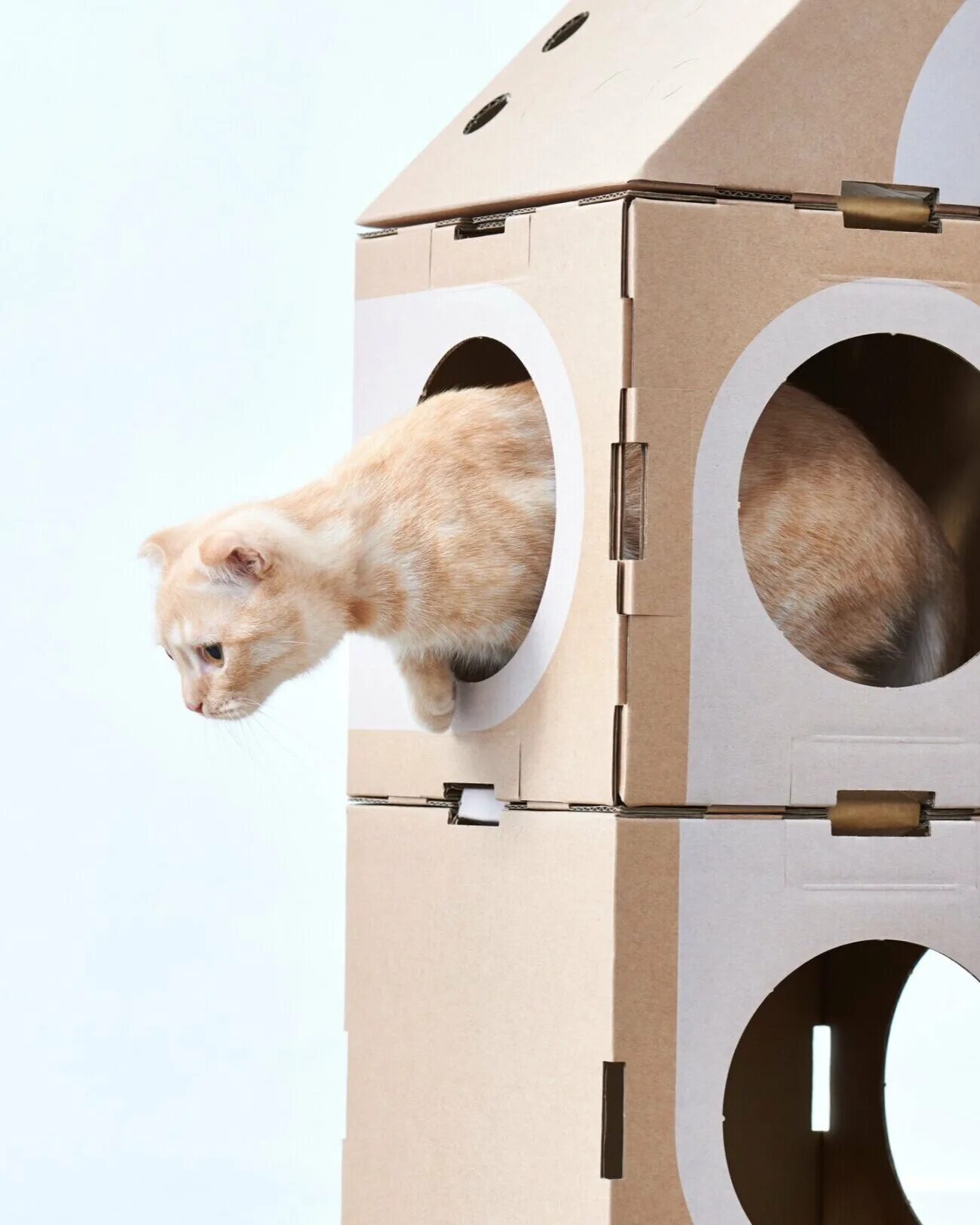 Cat thing. Картонный Лабиринт для кошек. Картонный домик для кошки. Домик для кошки из коробки. Домик для кошки из коробок.