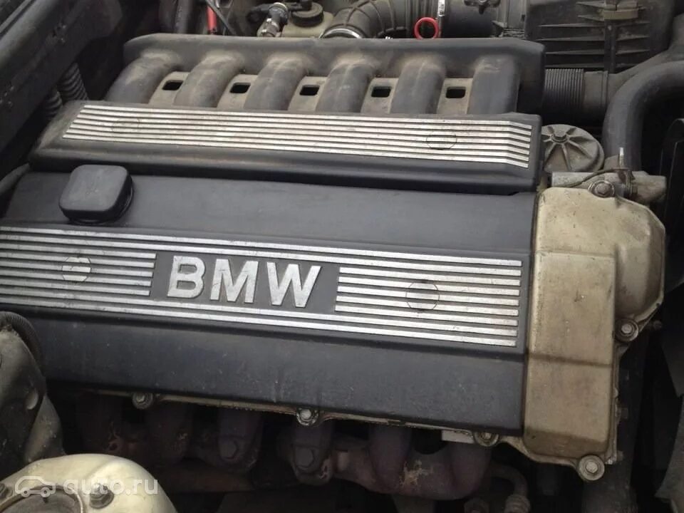 Е34 ванос. BMW m50b20. Двигатель BMW m50b20. BMW e34 m50b25. BMW m50b20 vanos.