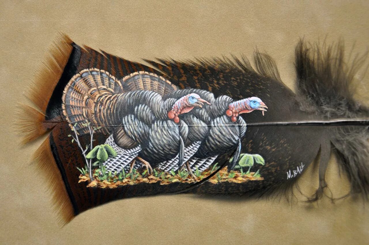 Feathering his own. Панно из перьев. Панно из перьев фазана. Картины из перьев птиц. Картины на перьях птиц.