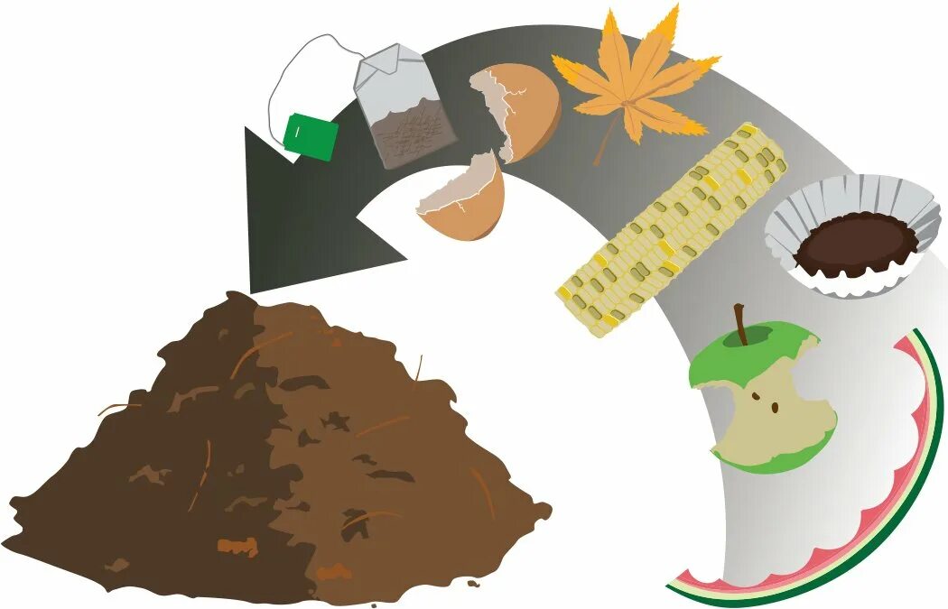 Органических отходов. Компостирование пищевых и других органических отходов. Переработка органических отходов.
