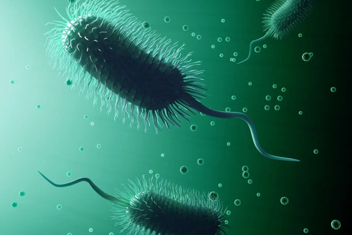 Бактерии можно обнаружить. Бактерии Минимализм. Микроорганизмы Минимализм. Бактерии арт. Лохматая бактерия.