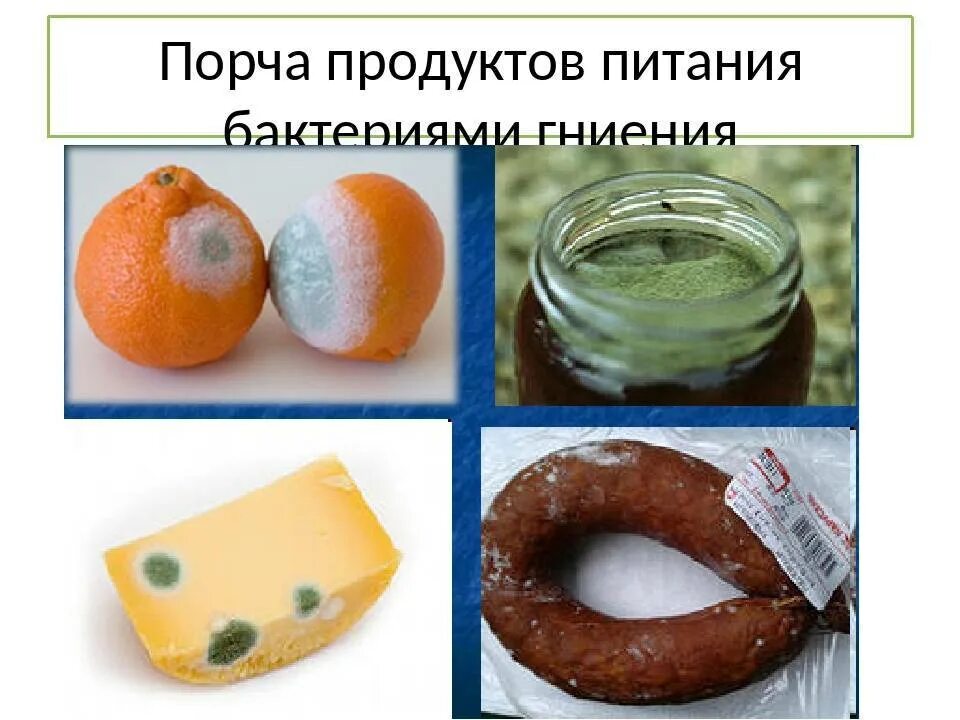 Как сохранить продукты от гниения. Порча продуктов бактериями. Бактерии вызывающие порчу пищевых продуктов. Вызывают порчу продуктов питания. Бактерии вызывают порчу продуктов питания.