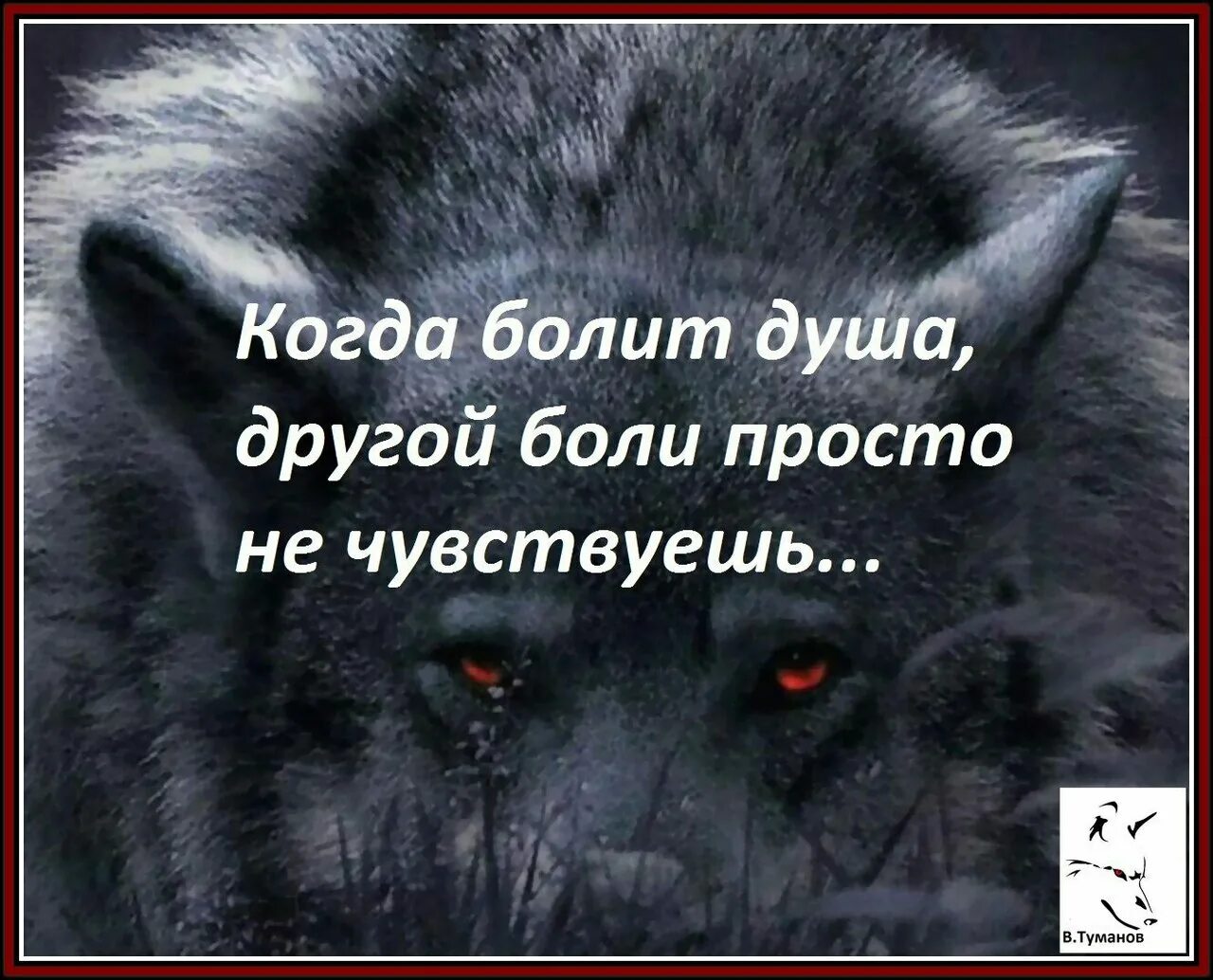 Не знает ни границ ни. Никто не знает когда мы прощаемся в последний раз. глаза говорят больше чем слова. высказывания про глаза. глаза многое говорят о человеке.