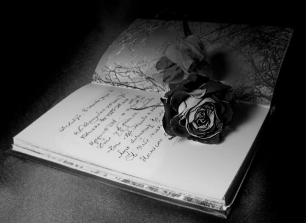 Эпилог души. Розы темные с книжкой. поэзия моей души. поэзия чб. поэзия картинки.
