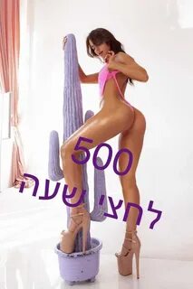 נערת ליווי צעירה רוסיה בנתניה , יפייפיה רוסייה תמונות אמיתיות מארחת בדירה דיסקרט