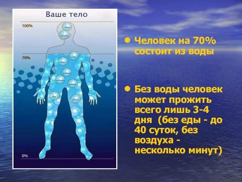 Вода и человек. Вода основа жизни. Человек из воды. Человек состоит из воды. Сколько время человек может прожить без еды