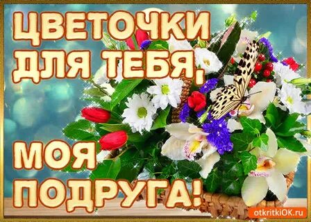 Цветы любят все мои подруги