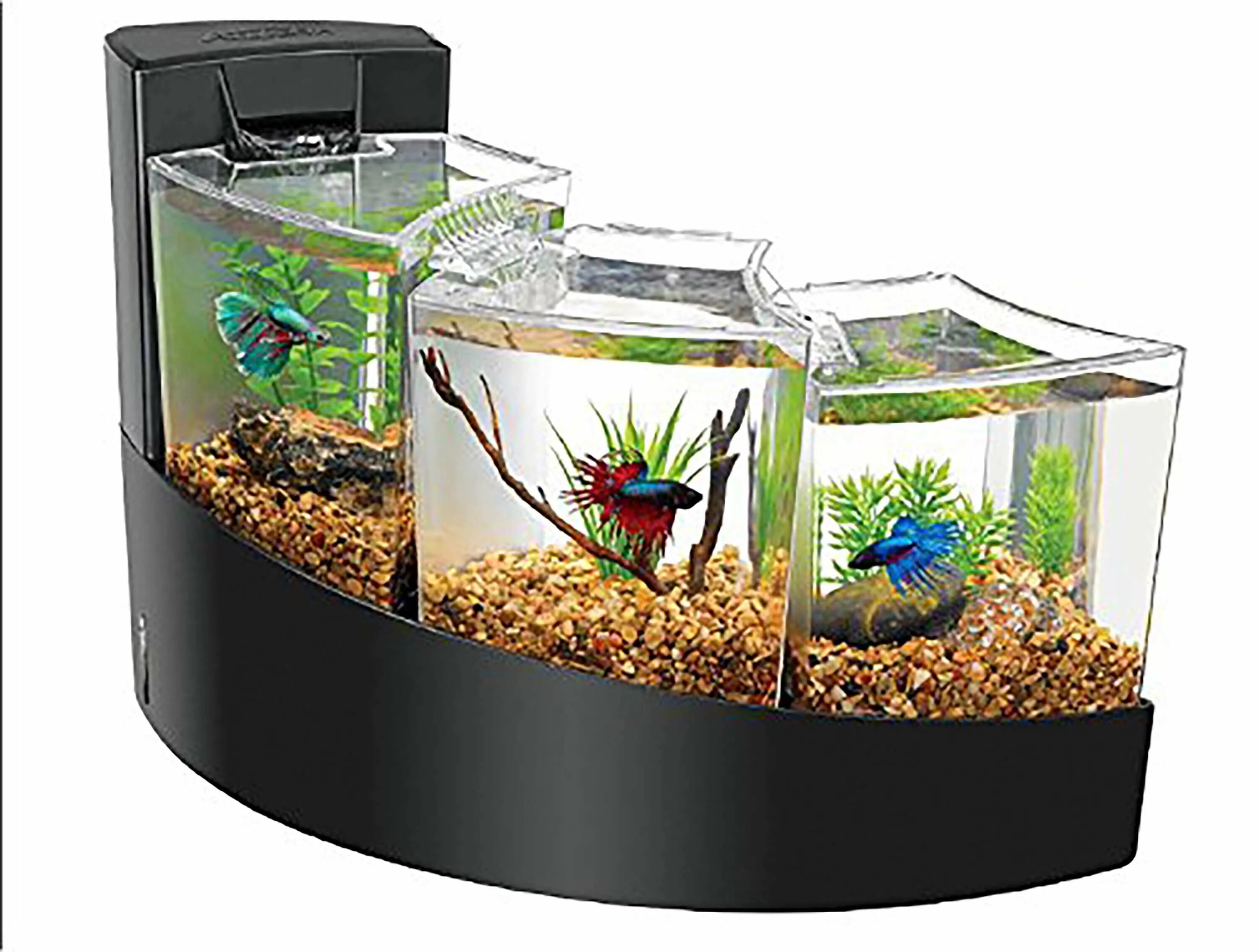 Какая вода нужна рыбам. Аквариумы Aqueon 2 Gallon Betta Falls Aquarium Kit. Аквариум Box Betta 1.3. Аквариум Double Tank Kit. Комплект Aqueon Betta Falls.