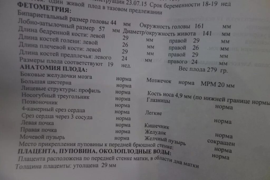 Мозжечок у плода норма. УЗИ на 32 неделе беременности показатели нормы. Норма УЗИ на 31-32 неделе беременности. Фетометрия 32 недели норма. Фетометрия 32 недели беременности.