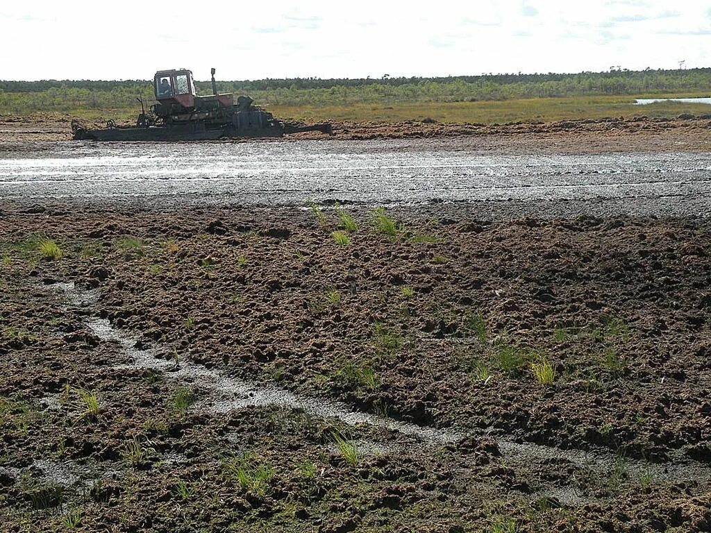 Рациональное природопользование рекультивация земель на месте карьеров