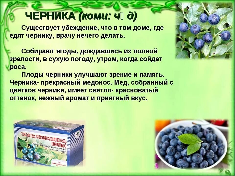 Содержание витаминов в чернике