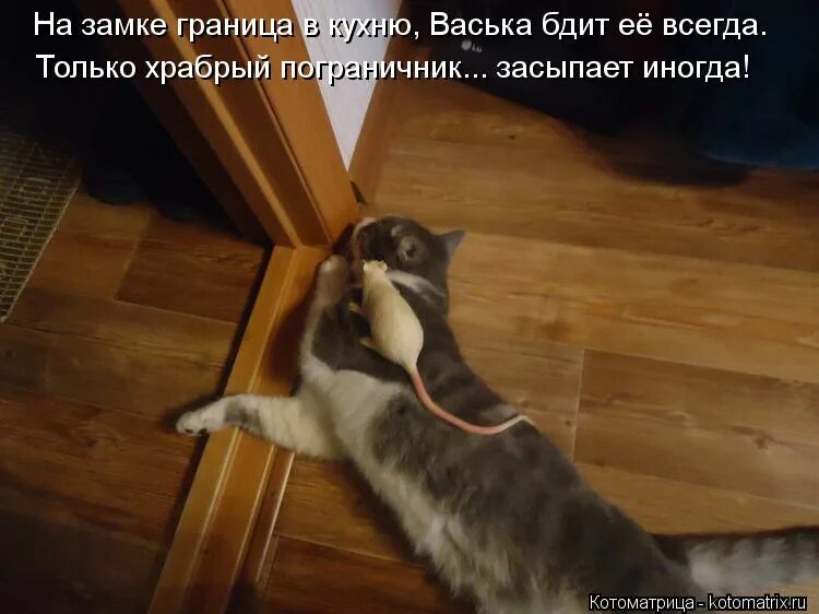 Прикольные картинки с детьми. Грустные картинки с цитатами. Ежик в тумане где все. Смешная девочка. Я живой.