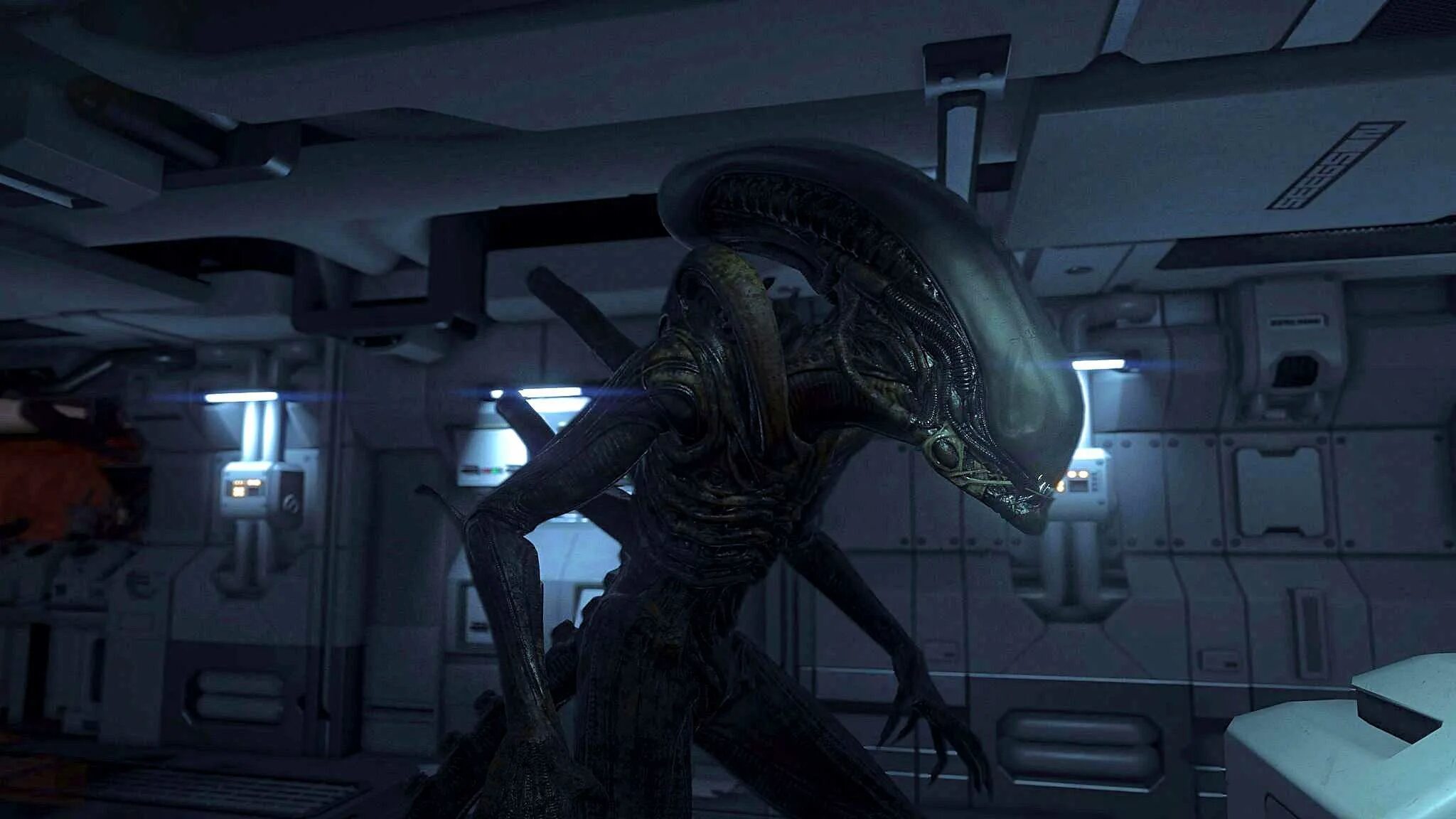 Alien isolation отзывы. Alien Isolation игра. Alien Isolation чужой. Ксеноморф из игры Alien Isolation.