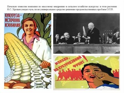 Кукурузная кампания хрущева