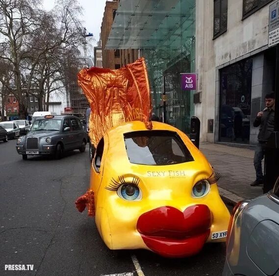 Авто фиш. Рыба машина. Рыбка на автомобиле. Рыбка на автомобиле. Рыба кузовок и автомобиль.