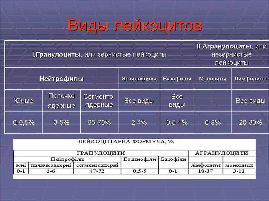 Лейкоциты группа крови. Классификация лейкоцитов таблица. Классификация лейкоцитов лейкоцитарная формула. Лейкоцитарная формула, функции отдельных видов лейкоцитов.. Функции лейкоцитов таблица.