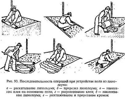 Последовательность пола