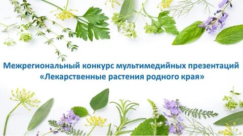 Презентация растения родного края