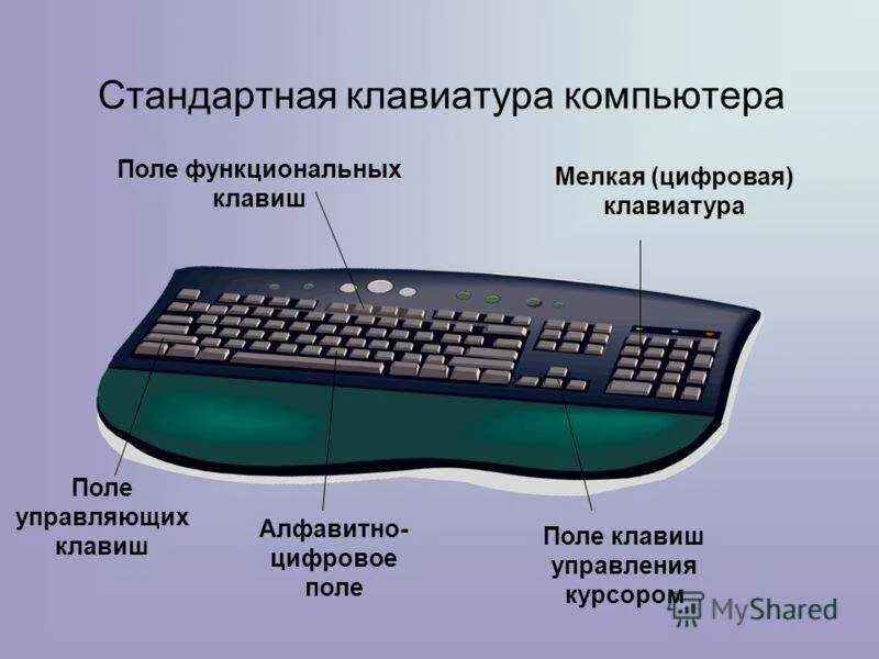 К каким устройствам компьютера относится клавиатура. Строение клавиатуры. строение компьютерной клавиатуры. конструкция клавиатуры компьютера. название частей клавиатуры.