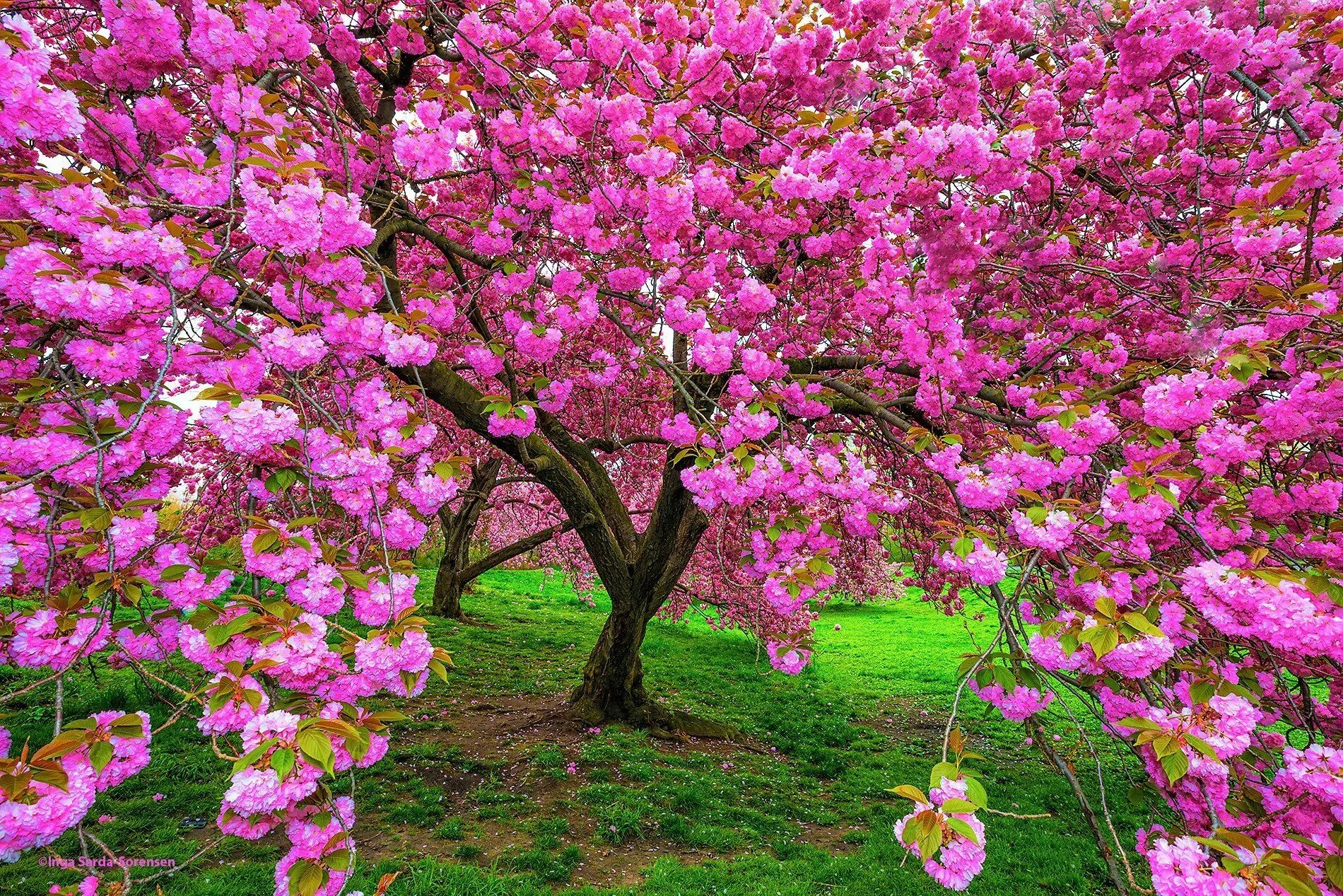 Spring scenes
