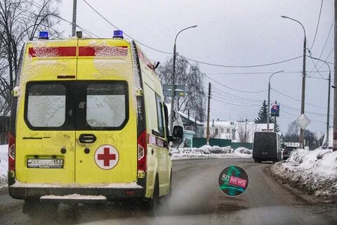 Всякая своему бору шумит