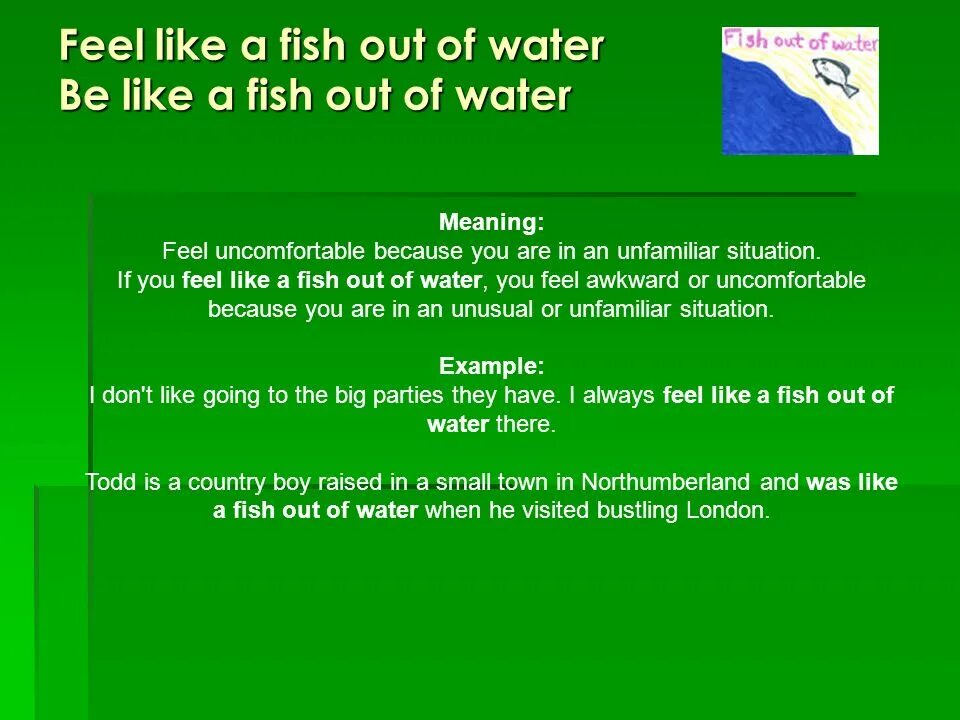 I feel you meaning. Feel like a Fish out of Water. Fish out of Water идиома. To be like a Fish out of Water. A Fish out of Water перевод идиомы.