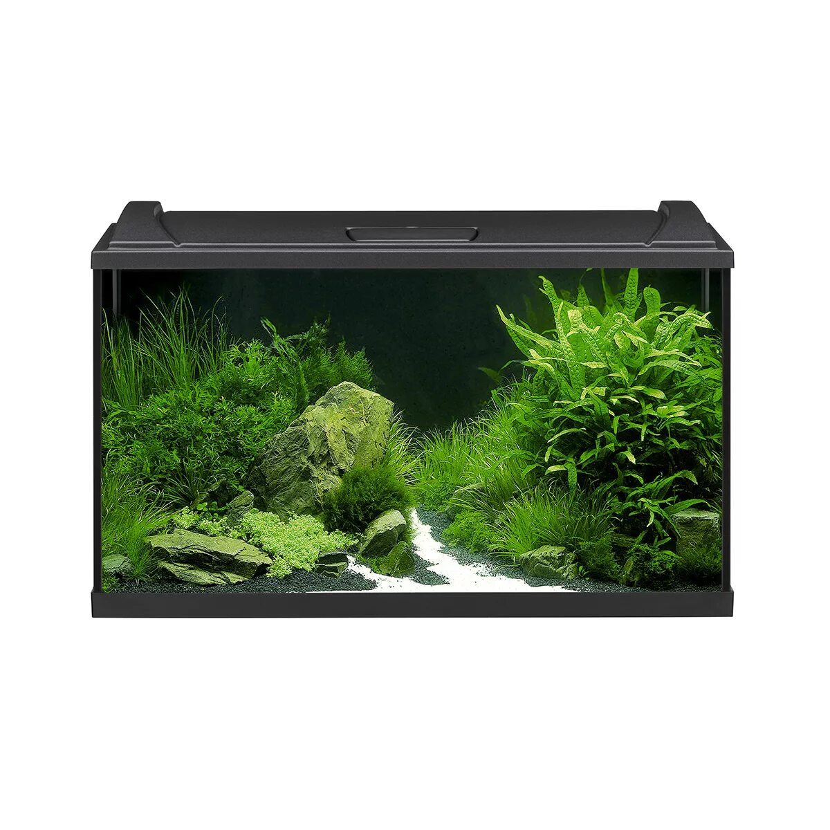 Eheim vivaline 126 led. Eheim vivaline 240 led. Eheim incpiria 430. Аквариум eheim 450 л. Eheim incpiria на 500л.