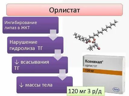 Орлистат подавляет активность ферментов расщепляющих