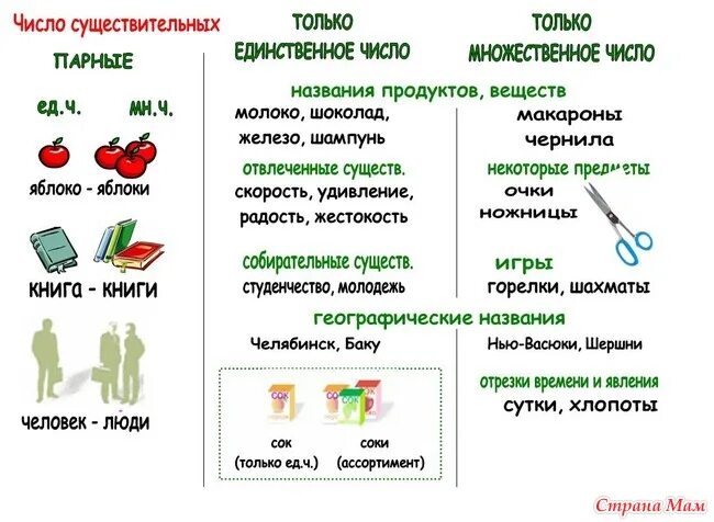 Зелень число единственное или. 2 Класс ед и мн число имен существительных. Имена существительные единственного и множественного числа. Существительные имеющие форму единственного и множественного числа. Существительное в единственном и множественном числе правило.