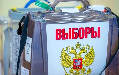 Выборы проходят каждые 6 лет