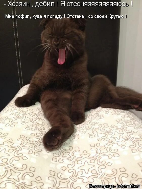 отстань со своим этим самым. кружка гачимучи. ты был избранником предрекали. отстань со своим этим самым. ты мне надоел картинки.