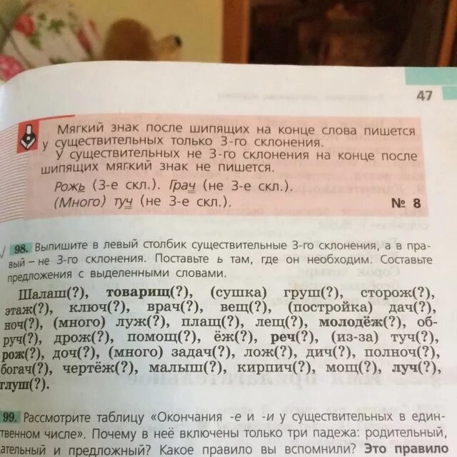 Предложения с сущ 3 склонения. Предложение с 2 существительными 3 склонения. 5 Предложений с существительными 3 склонения. Предложение с третьим склонением.