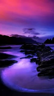Dreamscape