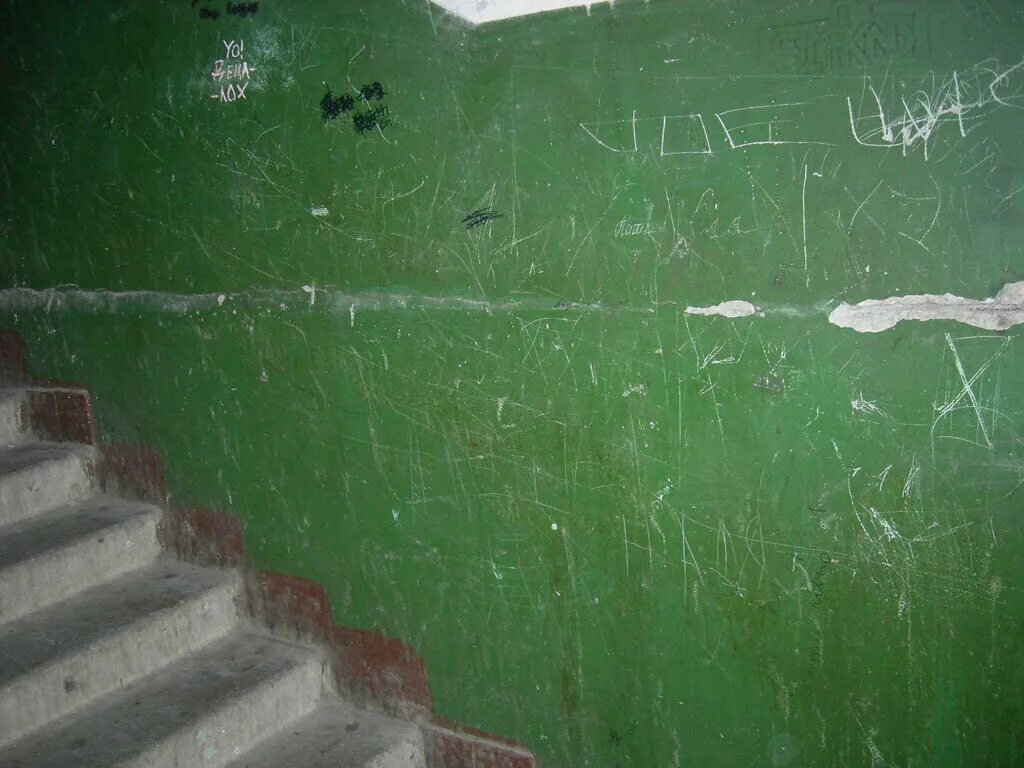 Под белыми в зеленую
