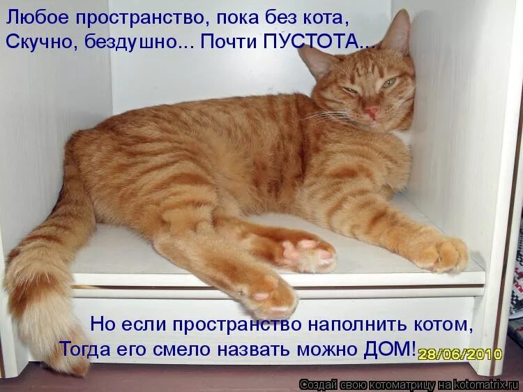 ничего не хочу кушать. увольнение работника. икеа не уходит из россии. пока работа. пока без работы.