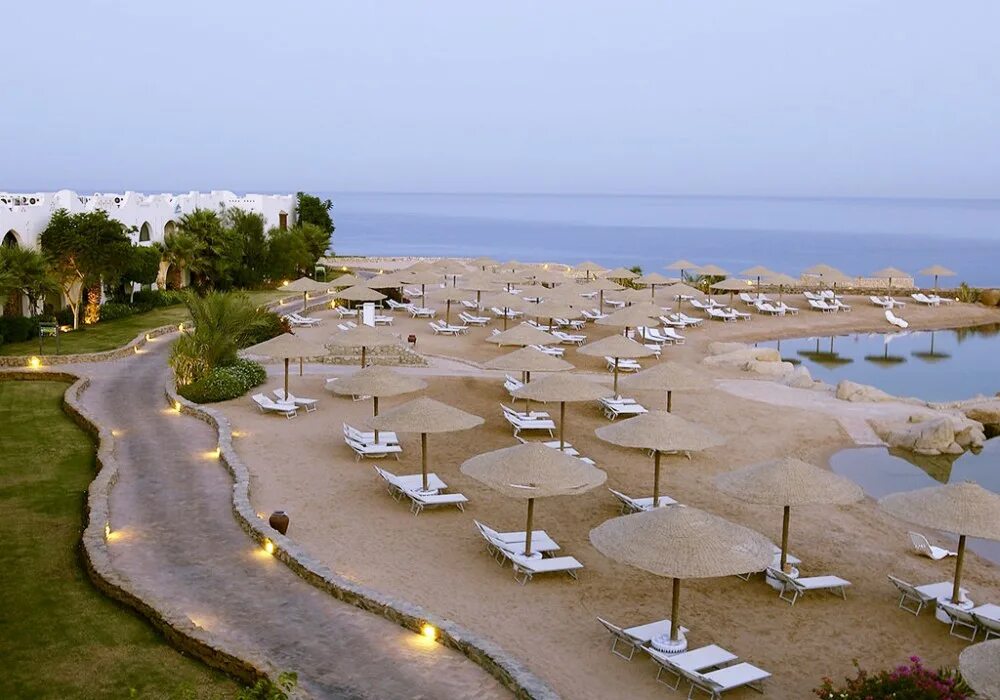 Domina coral bay отзывы