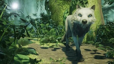 Lost animals
