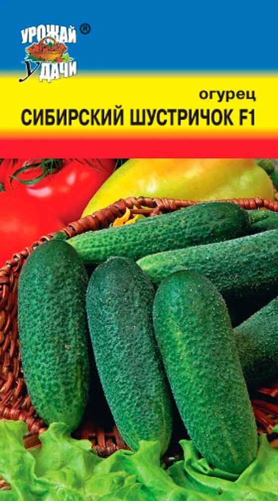 Огурец ребята пикулята семена алтая. Семена огурцов сибирская коллекция. Семена огурец кураж f1. Семена огурец сибирский пучок f1 5 шт семена алтая. Семена огурцов сибирская.