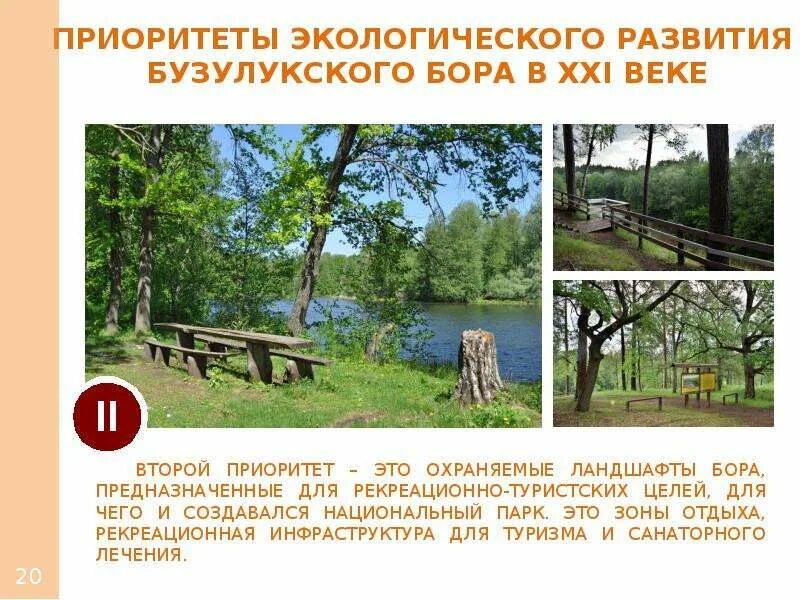 Эко тропа бузулукский бор. Разрешение в бузулукский бор. Разрешение в бузулукский бор. Разрешение в бузулукский бор. Бузулукский бор схема парка.