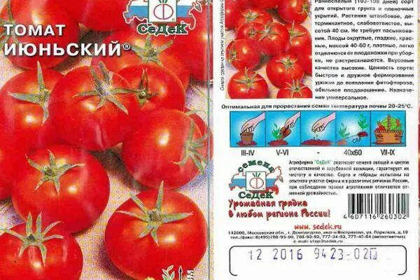 Томат июньский. Томат сорт июньский ранний. томат июньский седек. томат июньский форумский. помидоры июньские описание сорта.