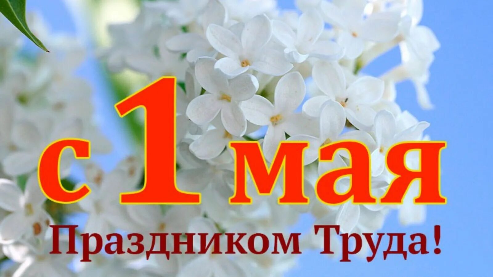 1 мая 200. Поздравление с 1 мая. 1 Мая праздник весны и труда. 1 Мая праздник. С праздником 1 мая поздравления.