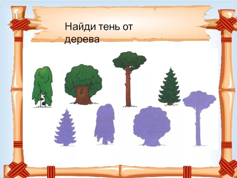 Находит тень и дню конец. Найди тень дерева. тени деревьев игра. игра для детей найди тень деревья. деревья дидактика тени.
