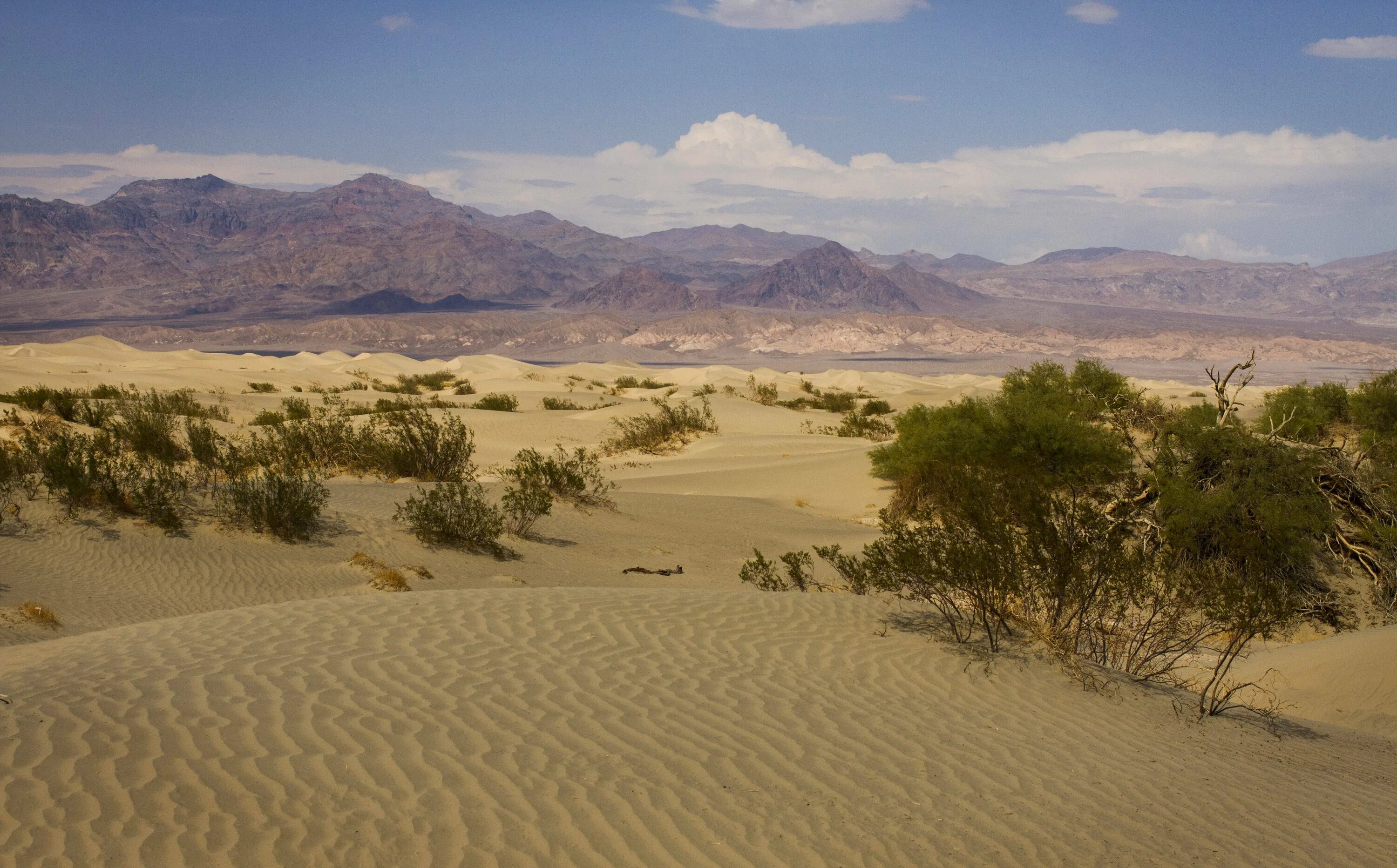 фиолетовая пустыня. загадочный мир пустыни. пиннаклс австралия. загадочный мир пустыни. пустыня.